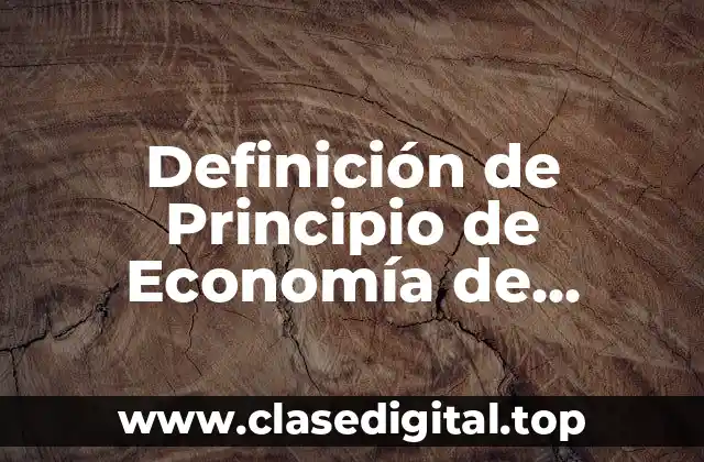 Definición de Principio de Economía de Derecho