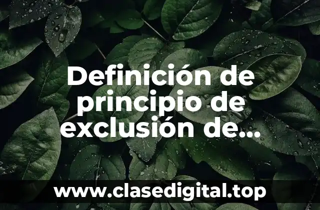 Definición de principio de exclusión de analogía