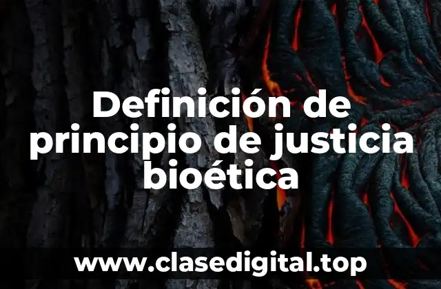 Definición de principio de justicia bioética