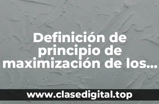 Definición de principio de maximización de los derechos