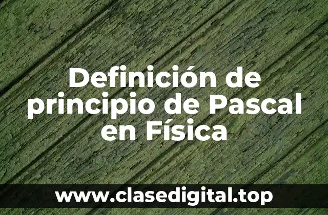 Definición de principio de Pascal en Física