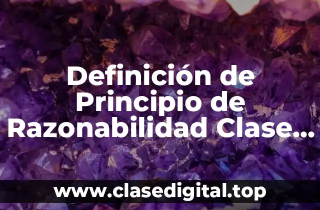 Definición de Principio de Razonabilidad Clase de Derecho