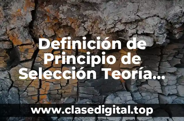 Definición de Principio de Selección Teoría Económica