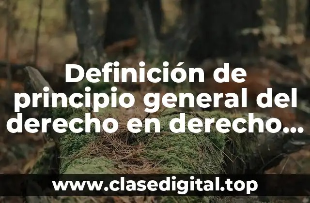 Definición de principio general del derecho en derecho internacional público