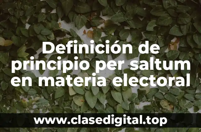 Definición de principio per saltum en materia electoral