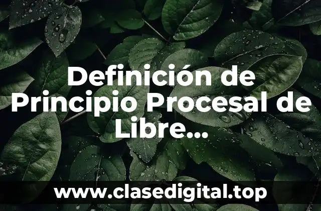 Definición de Principio Procesal de Libre Comparecencia
