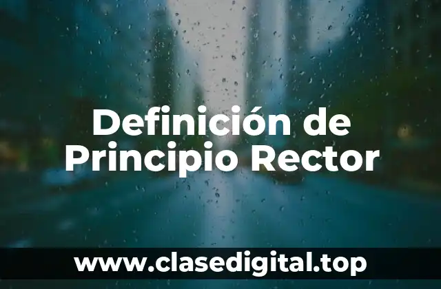 Definición de Principio Rector