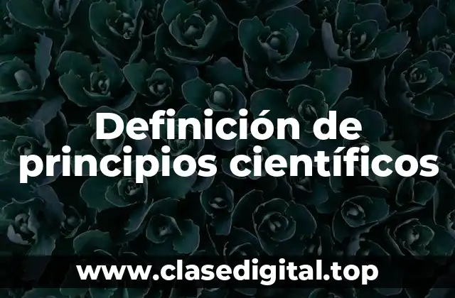Definición de principios científicos