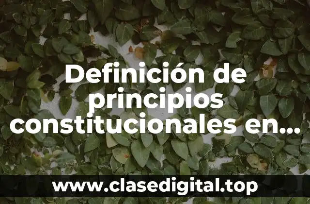 Definición de principios constitucionales en México