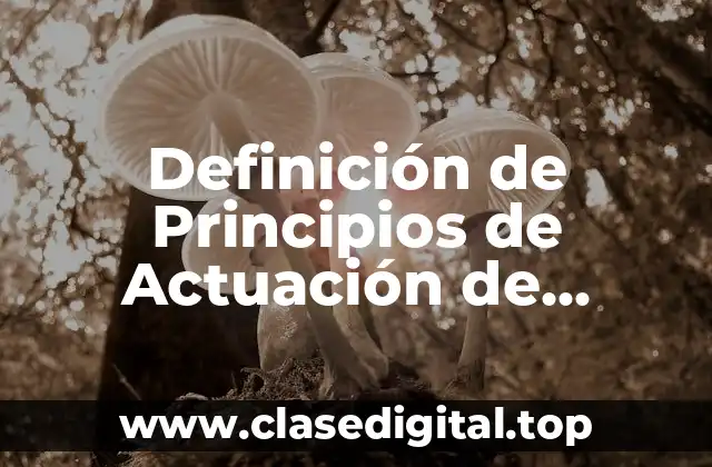 Definición de Principios de Actuación de Servidores Públicos