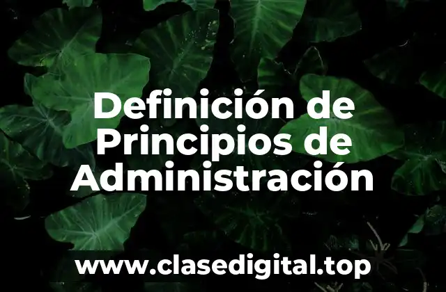 Definición Técnica de Principios de Administración