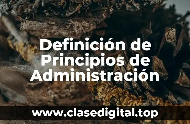 Ejemplos de Principios de Administración
