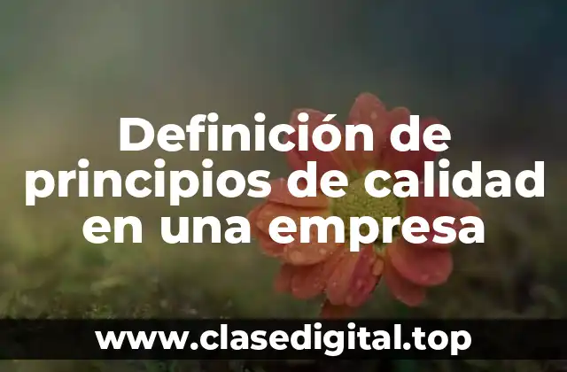 Definición de principios de calidad en una empresa