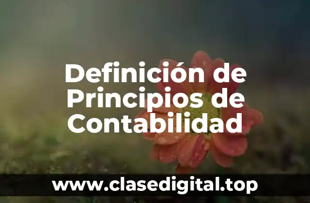 Definición de Principios de Contabilidad