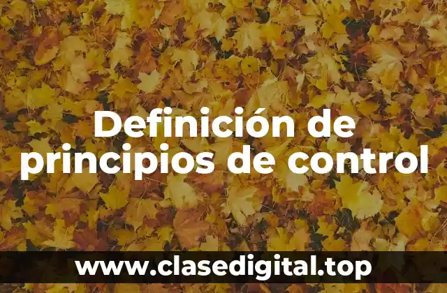 Definición de principios de control