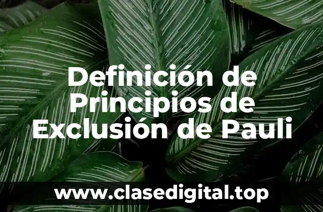 Definición de Principios de Exclusión de Pauli