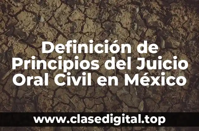Definición de Principios del Juicio Oral Civil en México