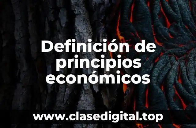 Definición de principios económicos