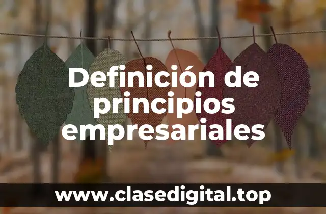 Ejemplos de principios empresariales