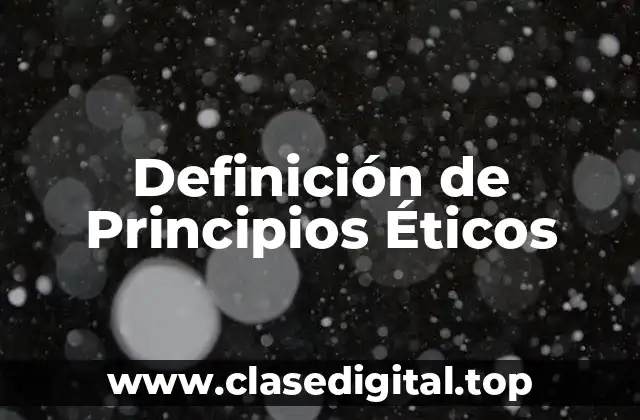 Definición de Principios Éticos