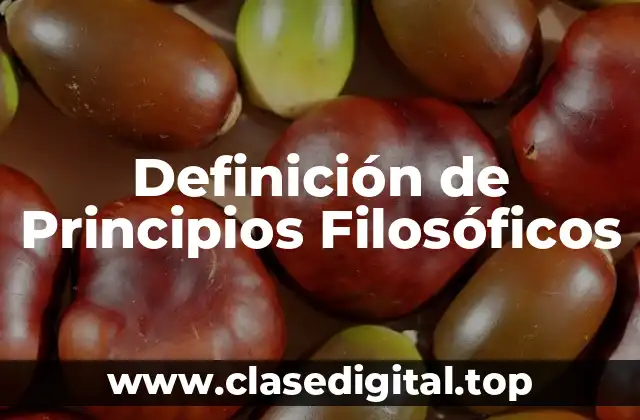 Definición de Principios Filosóficos