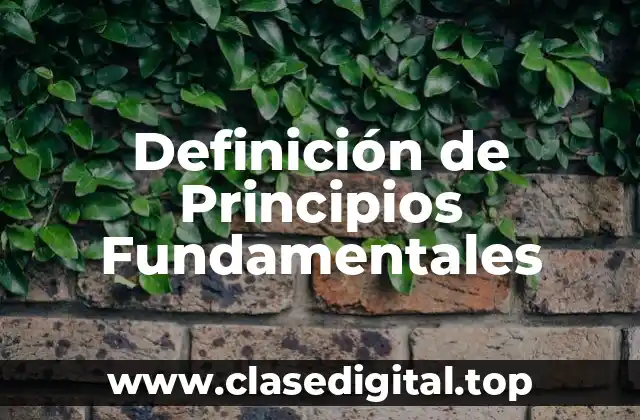Definición de Principios Fundamentales