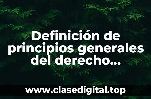 Definición de principios generales del derecho administrativo