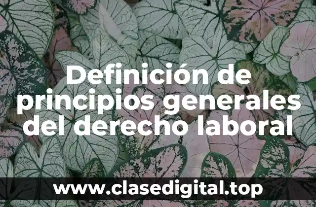 Definición de principios generales del derecho laboral