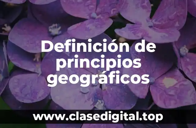 Ejemplos de principios geográficos
