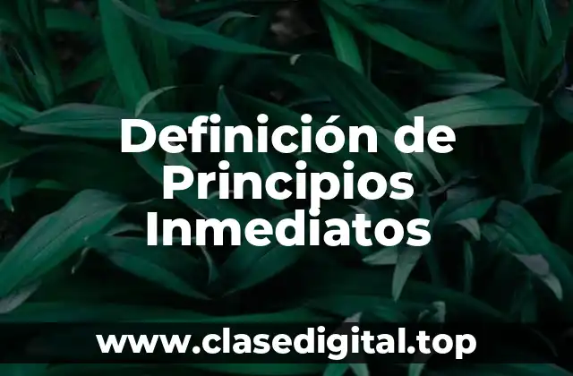 Definición de Principios Inmediatos