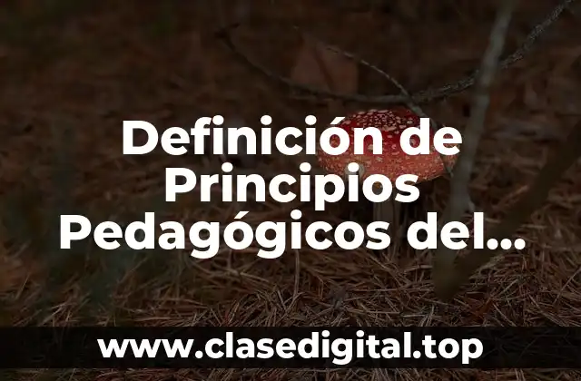 Definición de Principios Pedagógicos del Entrenamiento Deportivo