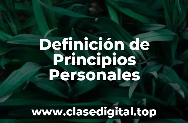 Definición de Principios Personales
