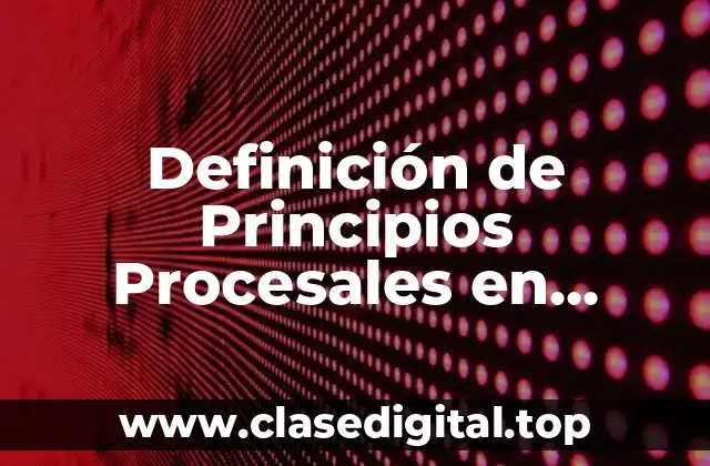 Definición de Principios Procesales en Materia Civil