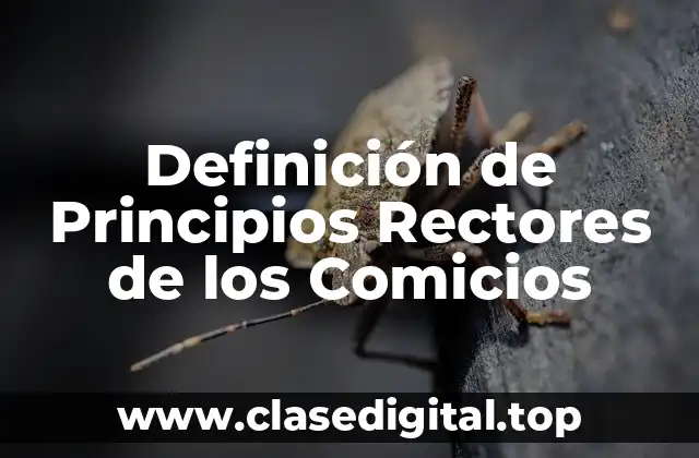 Definición de Principios Rectores de los Comicios
