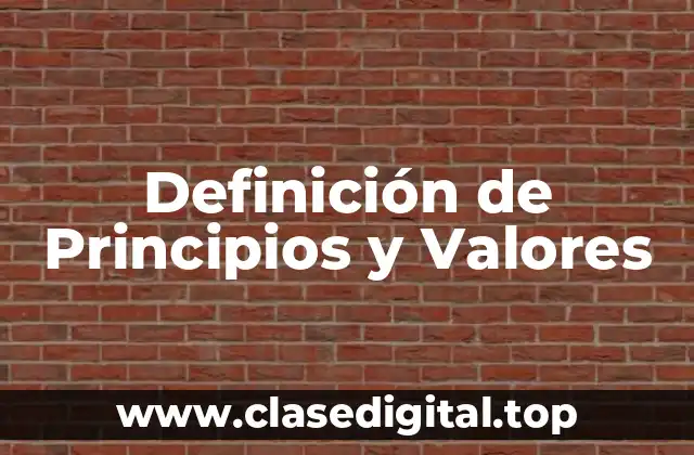 Definición de Principios y Valores
