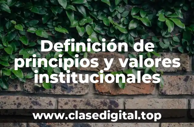 Definición de principios y valores institucionales