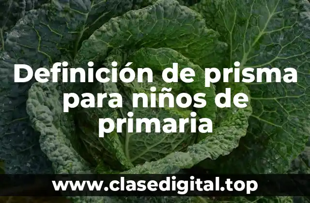 Definición técnica de prisma