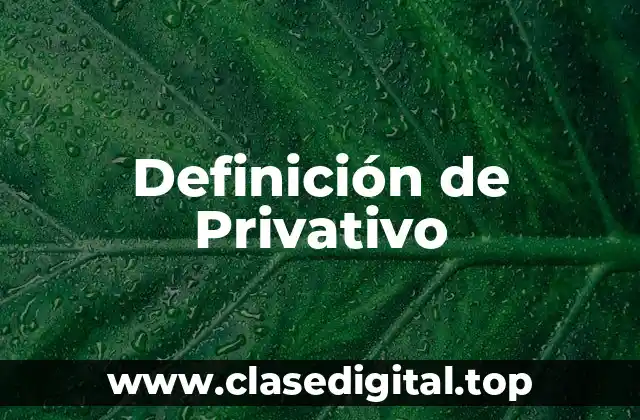 Definición de Privativo