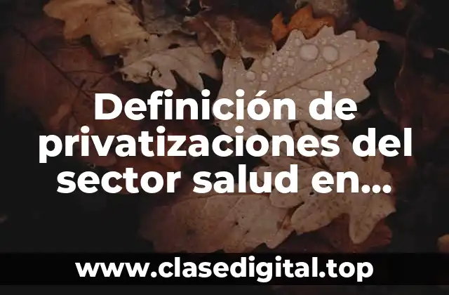 Definición de privatizaciones del sector salud en México