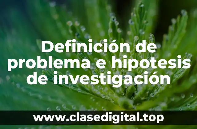 Definición de problema e hipotesis de investigación