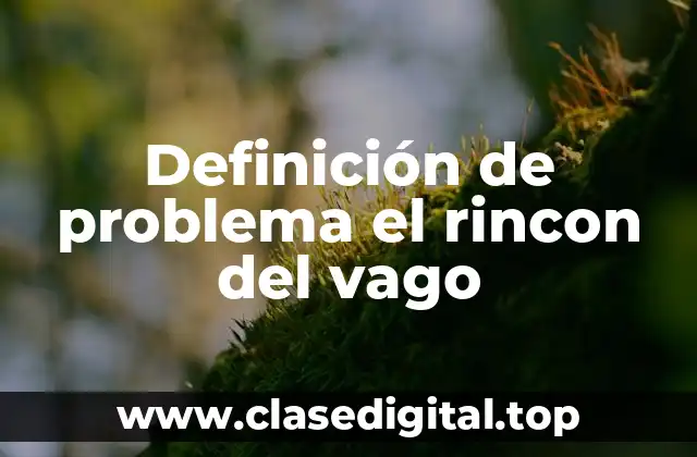 Definición de problema el rincon del vago