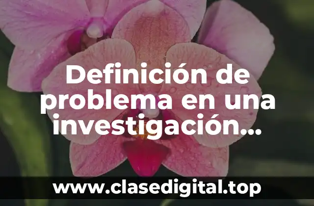 Definición de problema en una investigación cualitativa