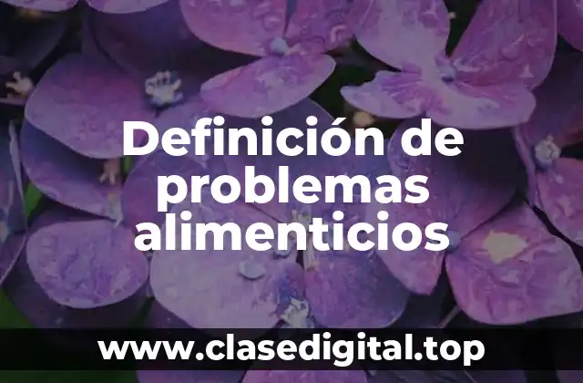 Definición de problemas alimenticios