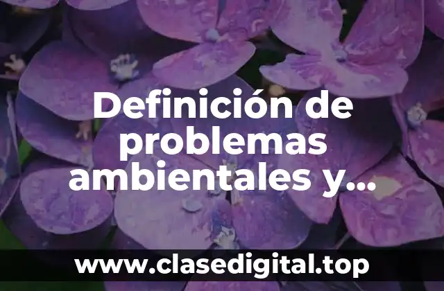 Definición de problemas ambientales y desastres naturales