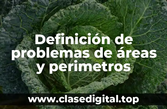 Definición de problemas de áreas y perimetros