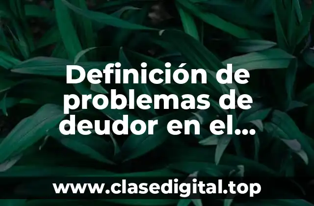 Ejemplos de problemas de deudor en el esquema de mayor