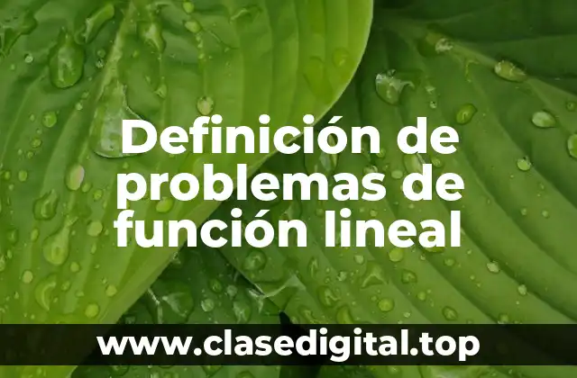 Definición de problemas de función lineal