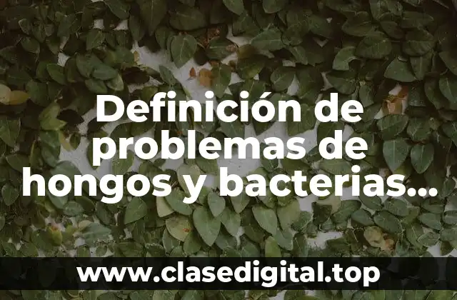 Ejemplos de problemas de hongos y bacterias en nuestro cuerpo