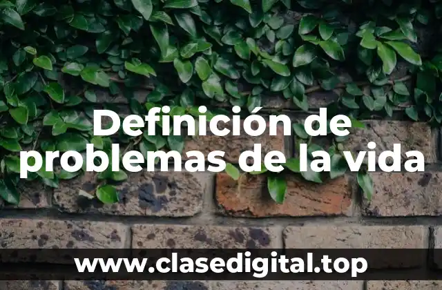 Ejemplos de problemas de la vida