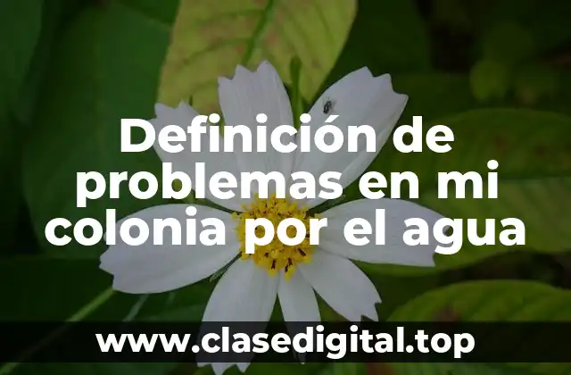 Definición de problemas en mi colonia por el agua